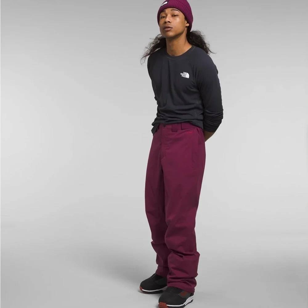 THE NORTH FACE Men's Freedom Stretch Pant, Boysenberry small/regular